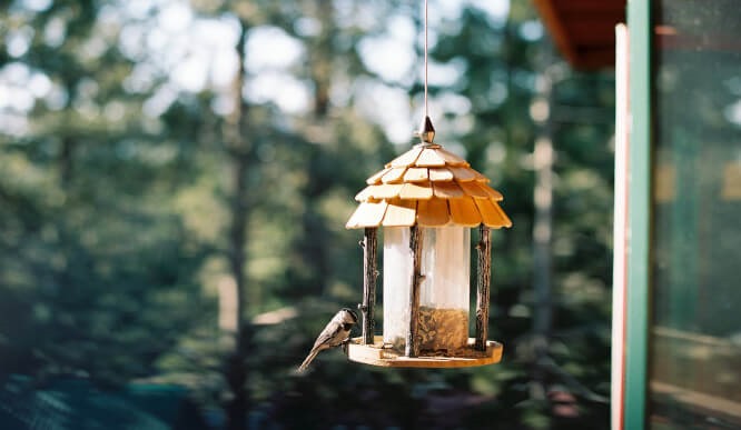 Decorative Bird Feeders