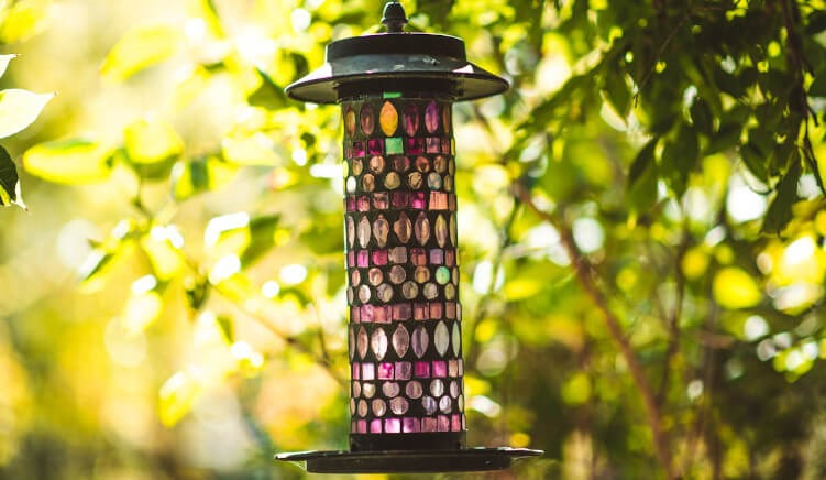 Where to Position Your Bird Feeder