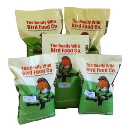 bird food for robins