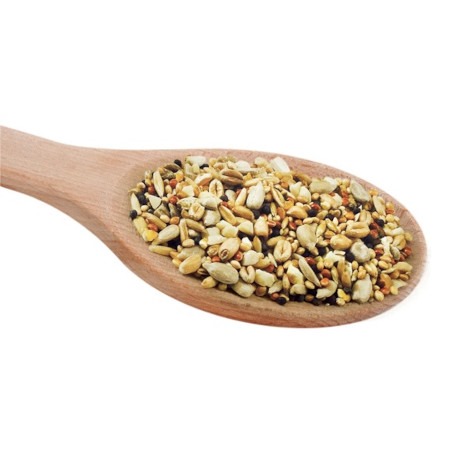 Bird Food with Peanuts