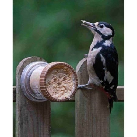 Flutter Butter Wall Feeder