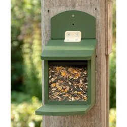 Tofino Squirrel Feeder