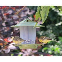 Eco Beacon Bird Seed Feeder 