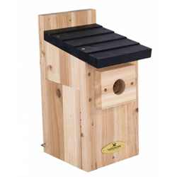  Cedar Nest Box 32mm - SAVE 50%