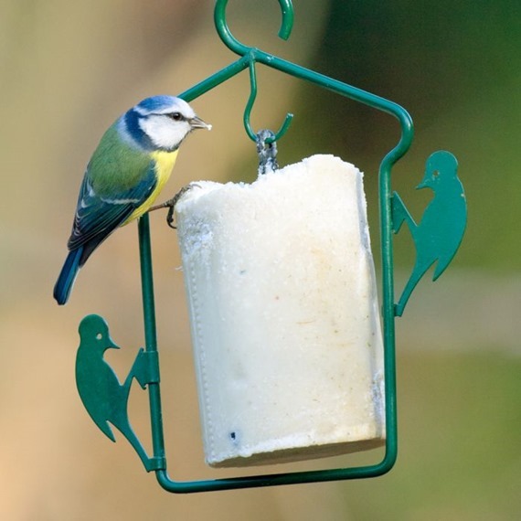 Clearance National Trust Insect Peanut Cake Plus Hanger