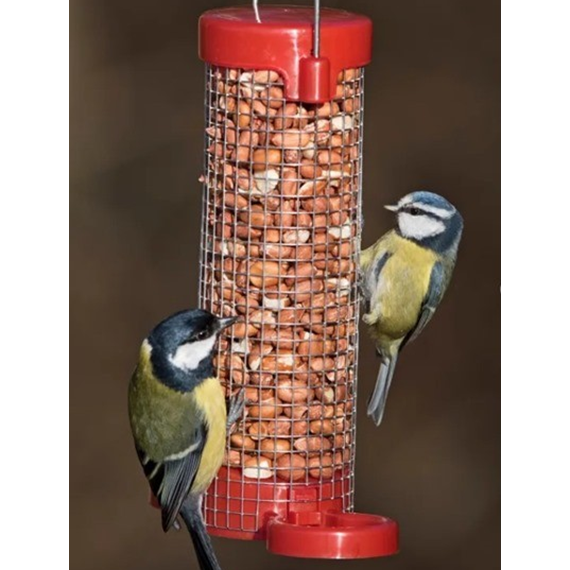 Get Set Go* Peanut Feeder