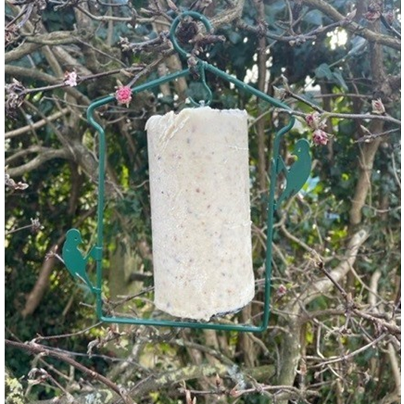 National Trust Insect Peanut Cake