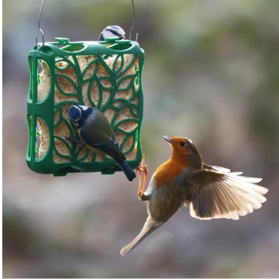 Silhouette Suet Cake Feeder