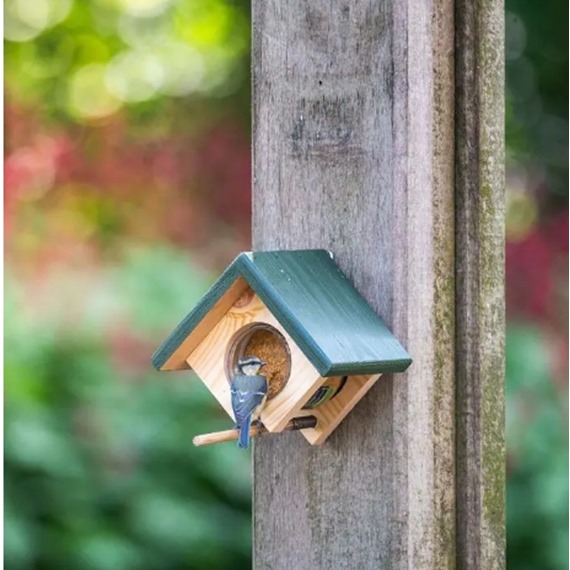 Cork Peanut Butter Wall Feeder