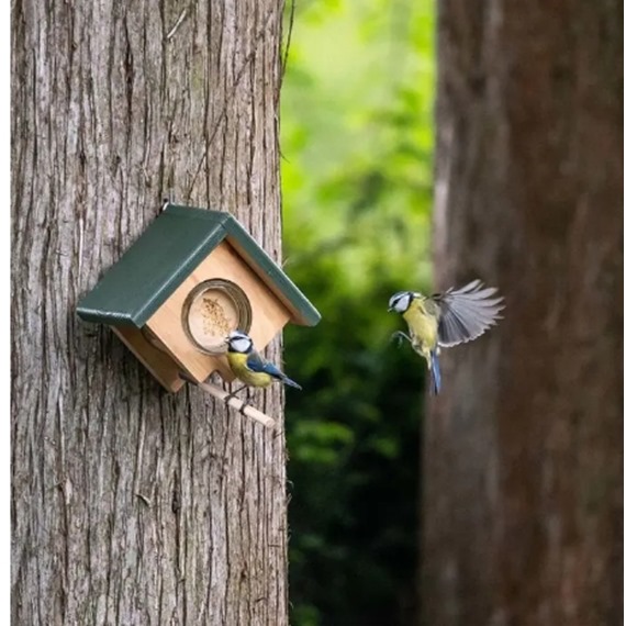 Cork Peanut Butter Wall Feeder