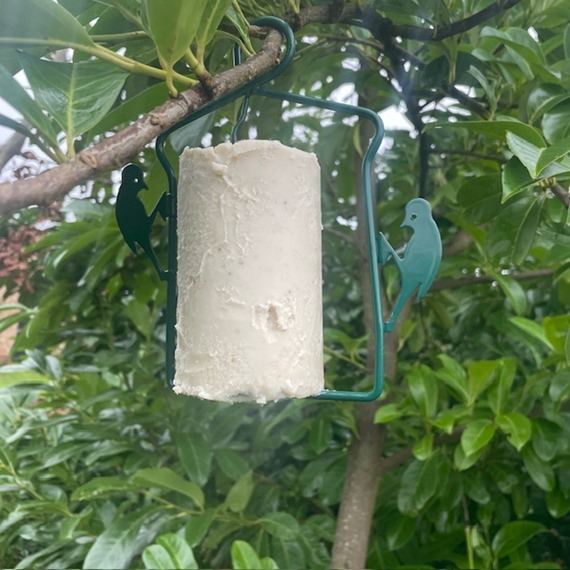 National Trust Insect Cake plus free Hanger