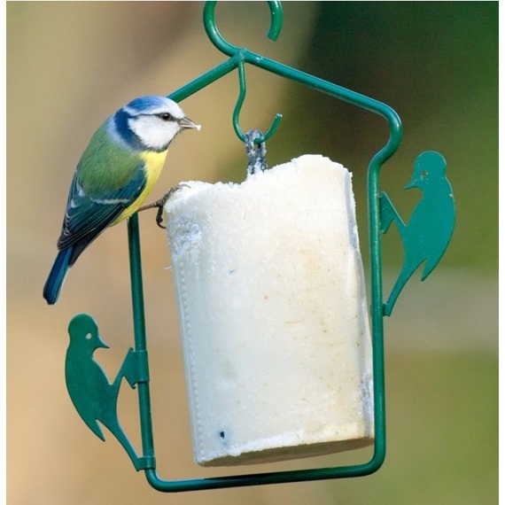 National Trust Insect Cake plus free Hanger