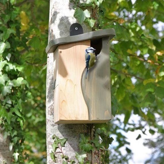 Simon King Curve Cavity Nest Box