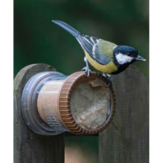 Flutter Butter® Wall Feeder