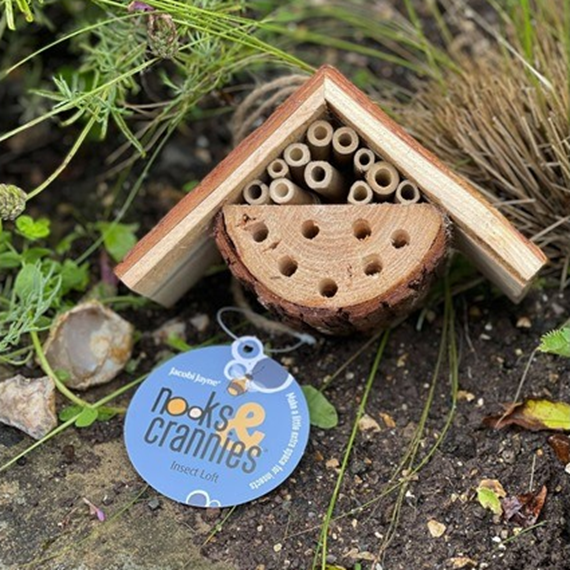 Nooks & Crannies Insect Loft