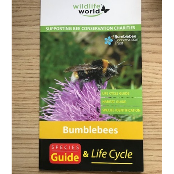 Species Guide to UK Bumblebees