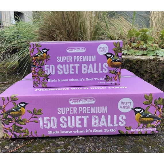 Super Suet Fat Balls - With Insect 