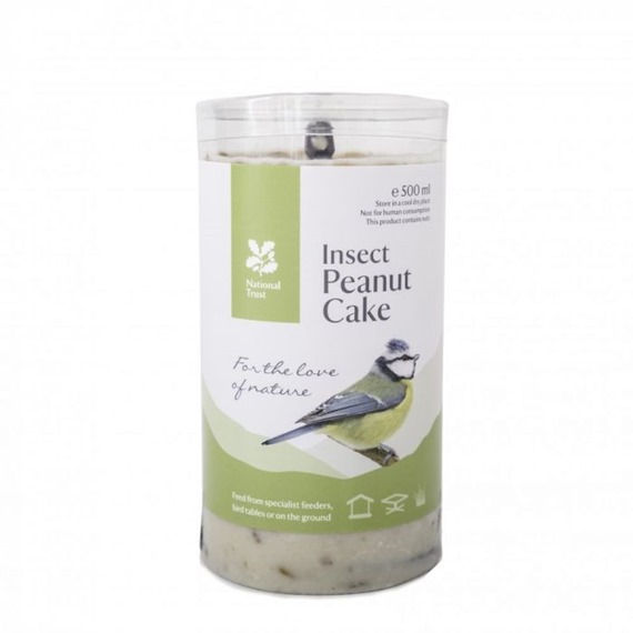 Clearance National Trust Insect Peanut Cake Plus Hanger