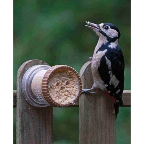 Flutter Butter® Wall Feeder