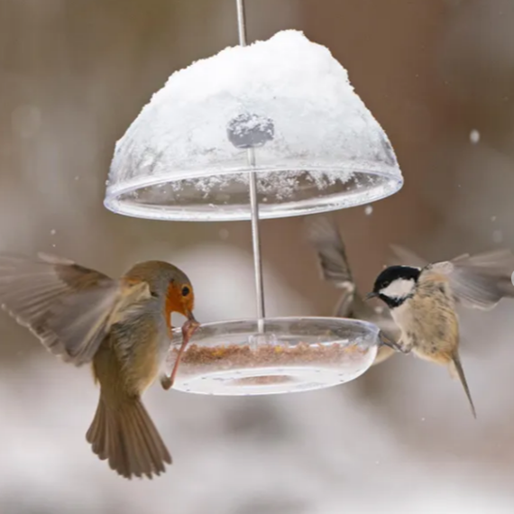 I Love Robins Pearl Feeder