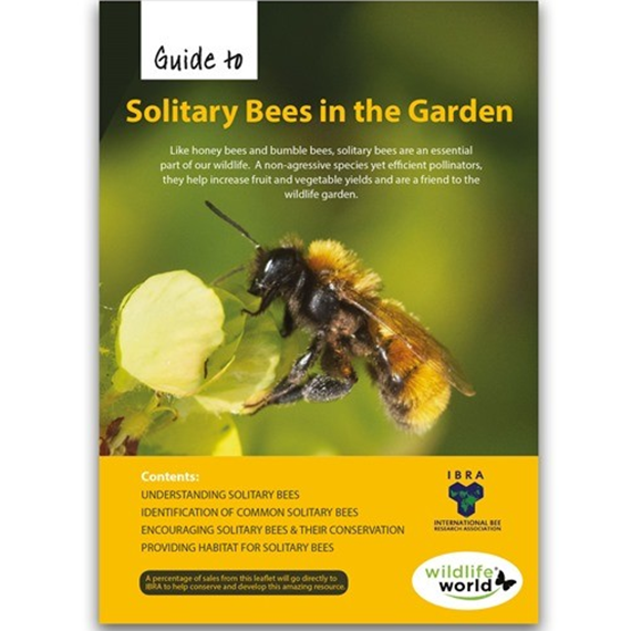 Guide To Solitary Bees In The Garden