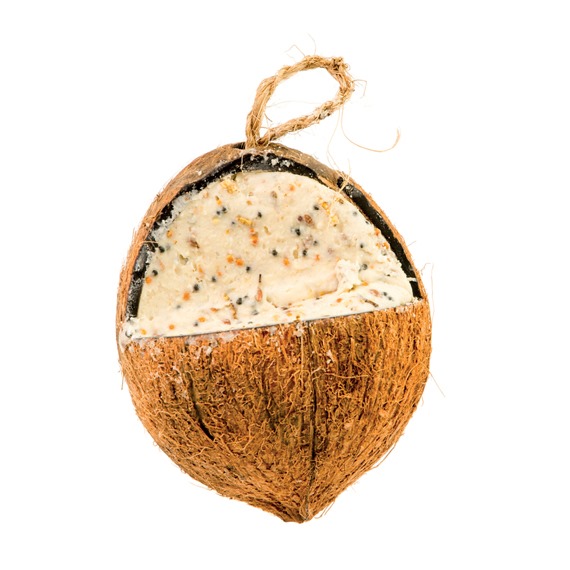 Whole Coconut Feeder For Birds