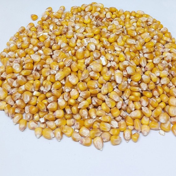 Whole Maize