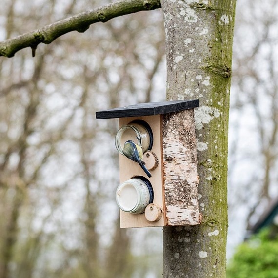 Quebec Double Peanut Butter Feeder