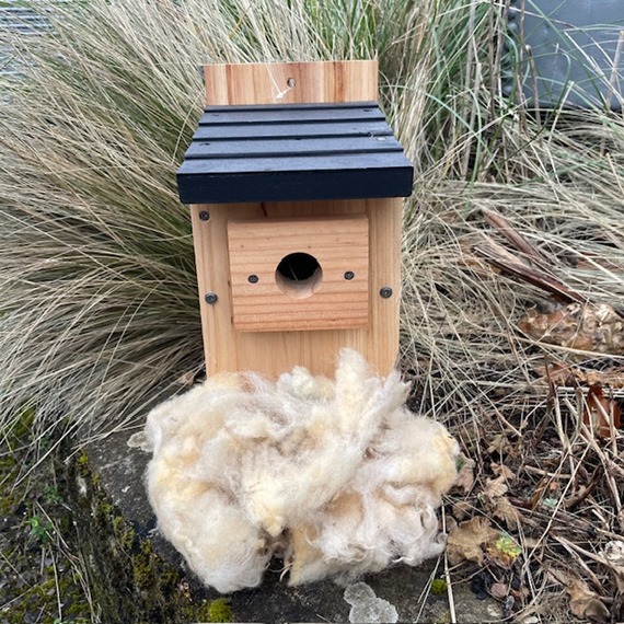  Cedar Nest Box 32mm 