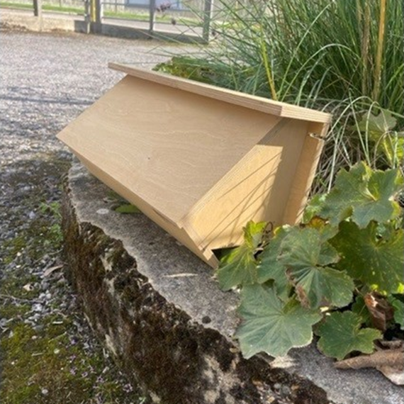 Plywood Swift Box