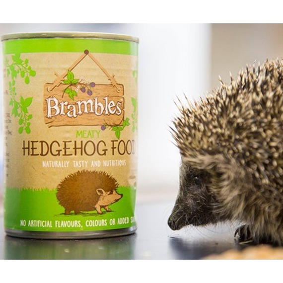 Brambles Meaty Hedgehog Food 