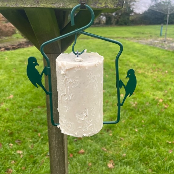 National Trust Insect Cake plus free Hanger