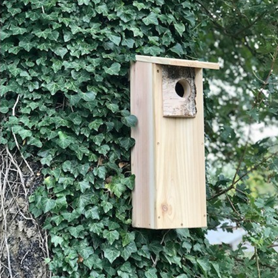 Woodpecker Nest Box