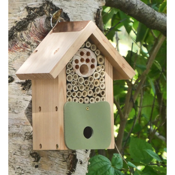 Bee Barn Eco Home