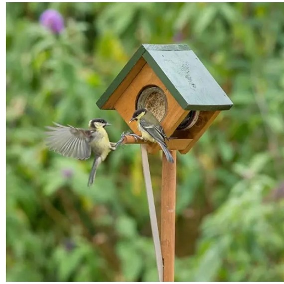 Cork Peanut Butter Pole Feeder