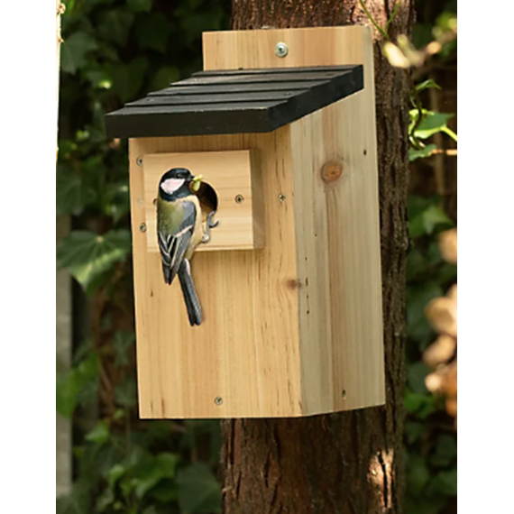  Cedar Nest Box 32mm - SAVE 50%