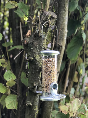 Rspb Big Garden Birdwatch 2020