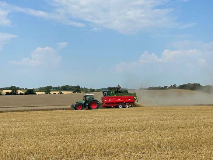 Harvest time on Street End Farm, home of Really Wild Bird Food