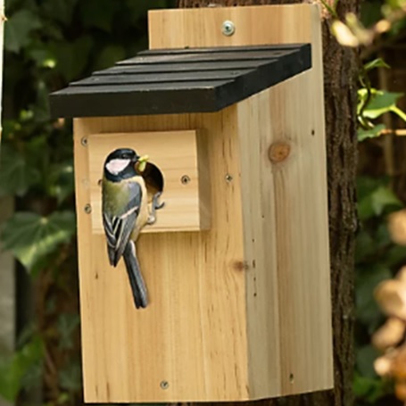 Cedar Nest Box