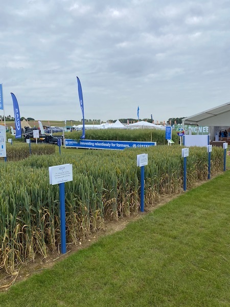 At the 2024 Cereals event