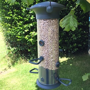 Sunflower Seeds For Wild Birds